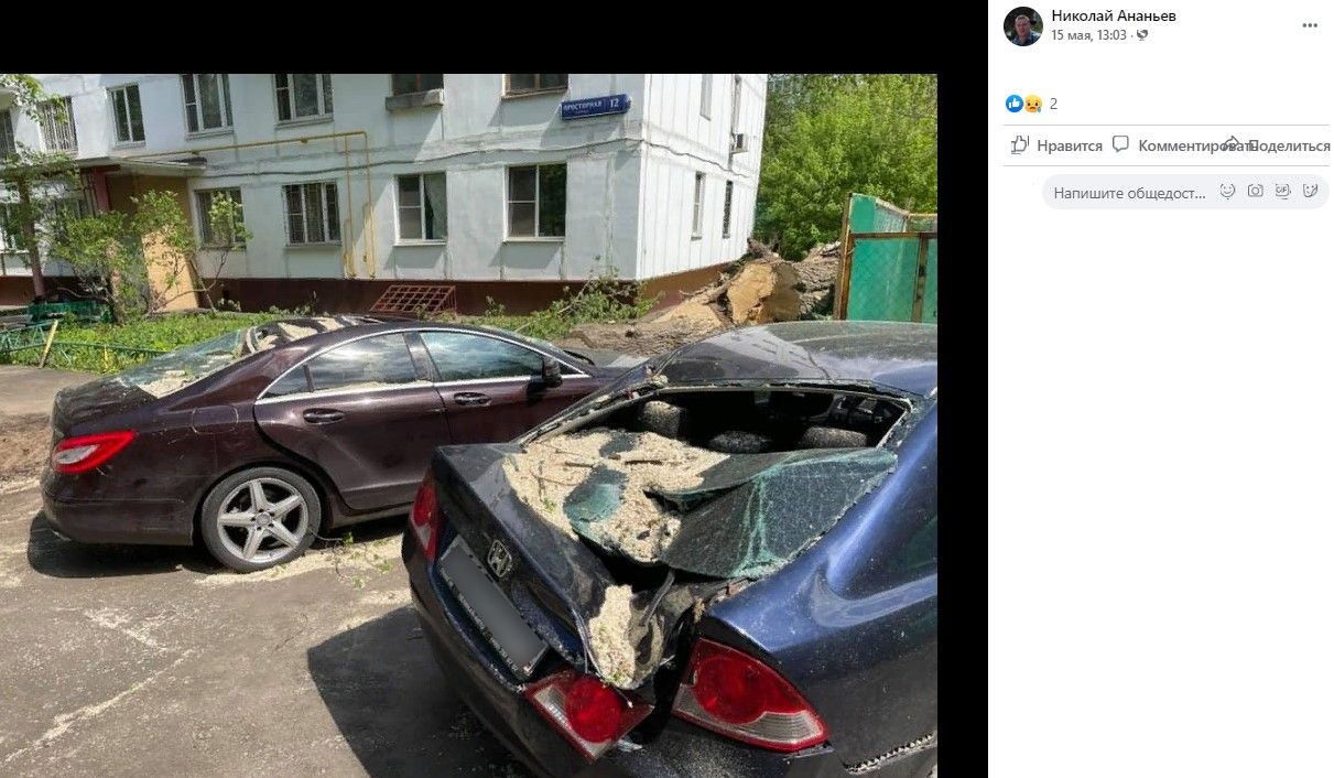 Упавшее дерево разбило две иномарки на Знаменской