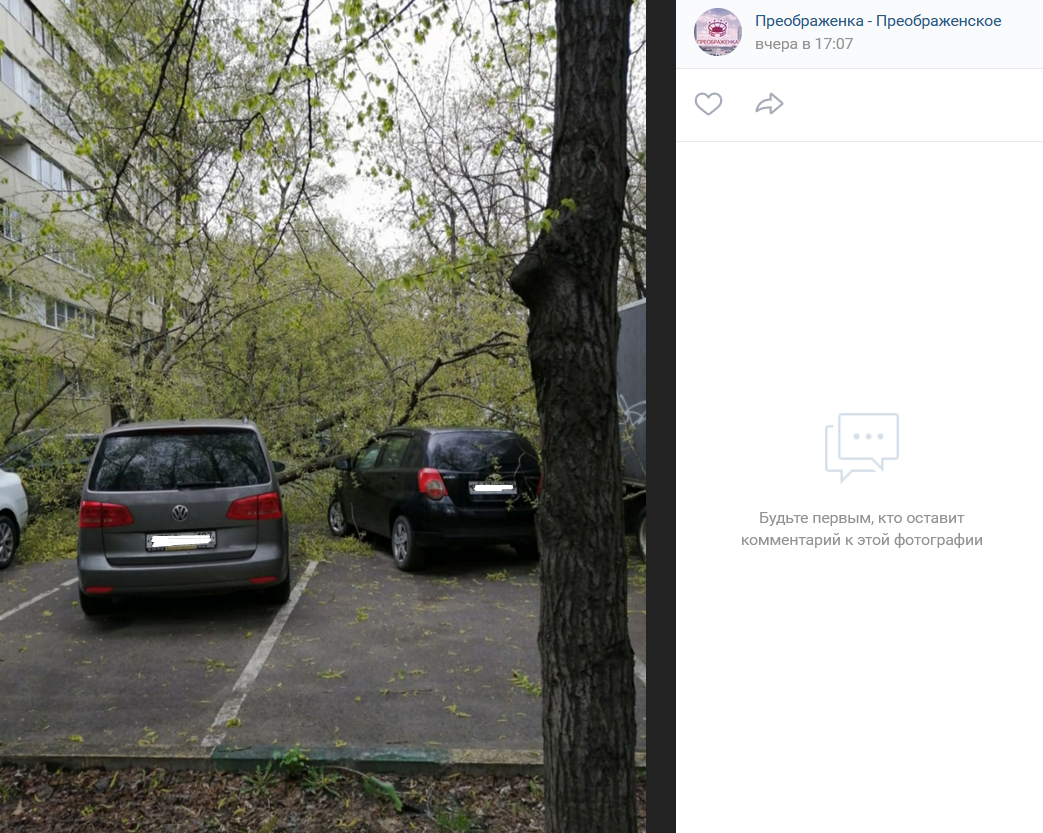 Сильный ветер повалил дерево на авто во дворе у Черкизовского пруда