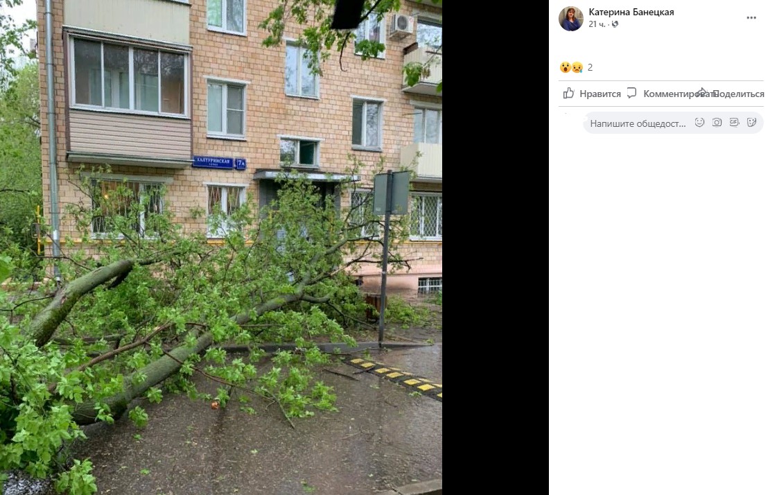 Упавшее из-за ветра дерево на 2-й Пугачевской разбило машину