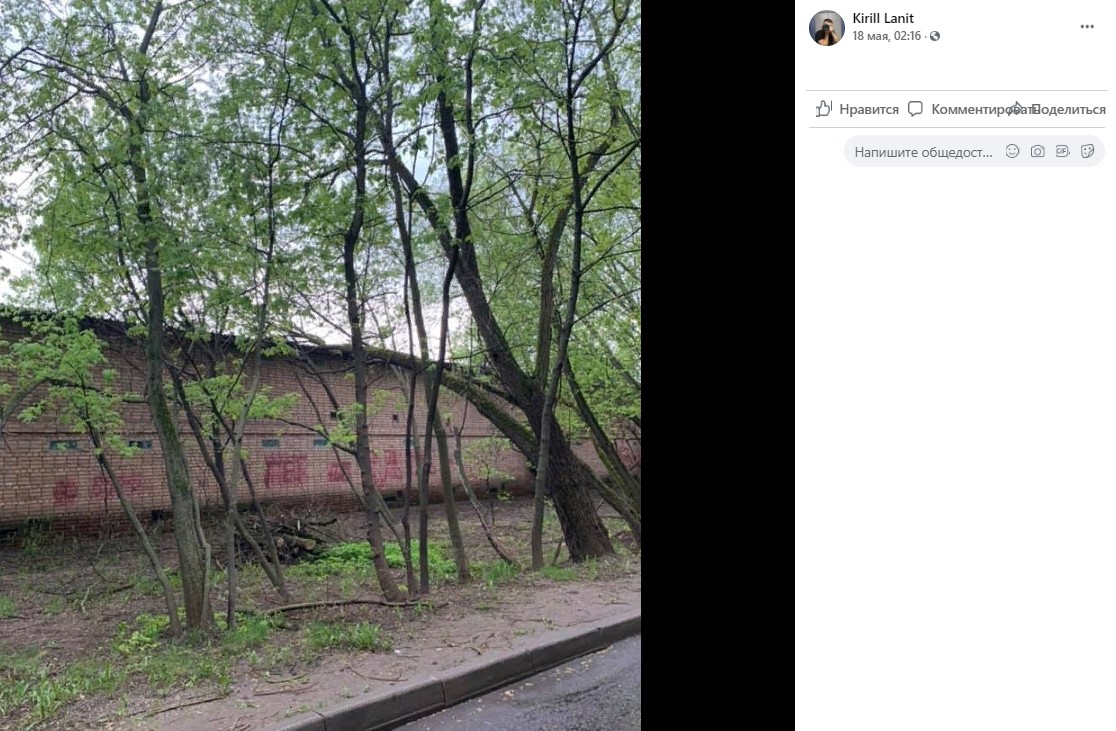 Во дворе на 2-й Пугачевской ураганным ветром повалило дерево