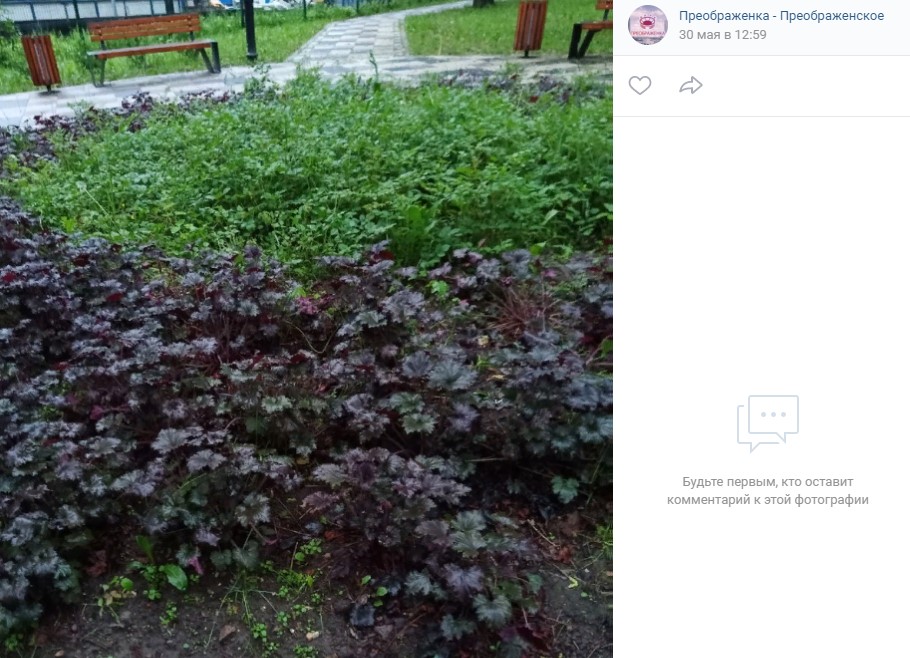 Клумбу в Преображенском облагородили по просьбе жительницы
