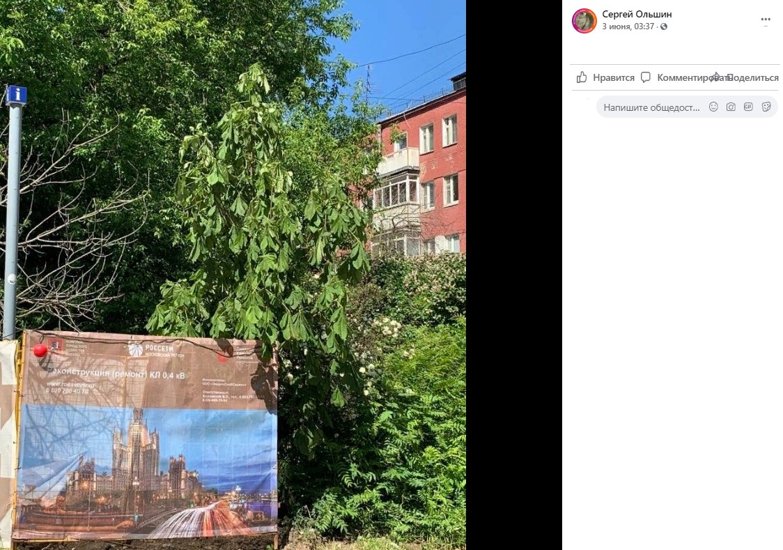 Поломанные деревья во дворе на Малой Семеновской восстановят за счет подрядчика