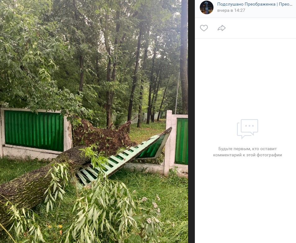 Коммунальщики Преображенского убрали все поваленные из-за дождя деревья